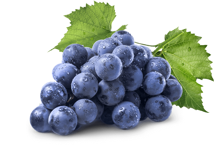 Grapes image