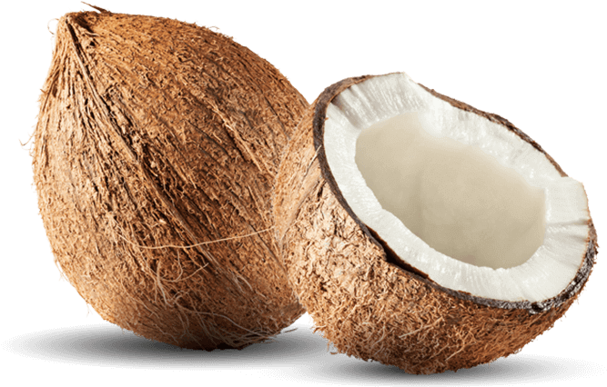 Coconut image