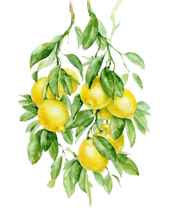 Lemon Painting