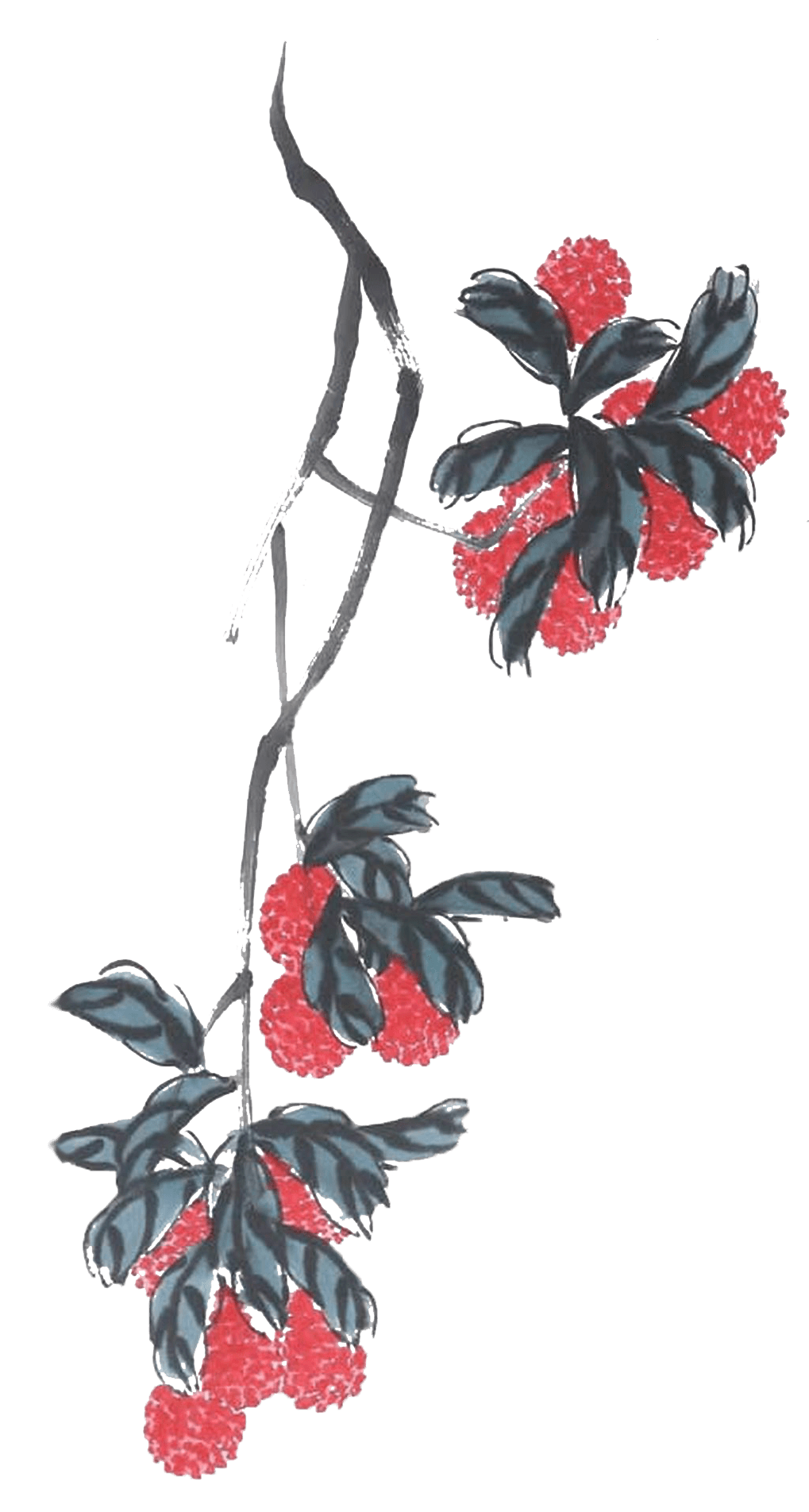 Lychee Painting